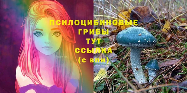 spice Зеленодольск