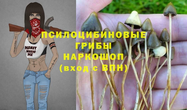 винт Слюдянка