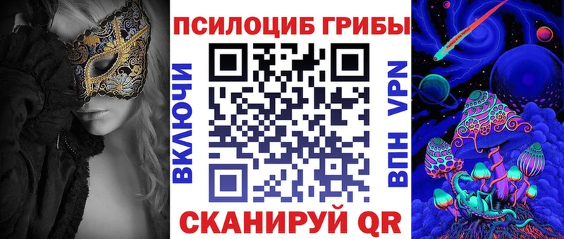 Купить где  Валуйки  Галлюциногенные грибы мицелий 